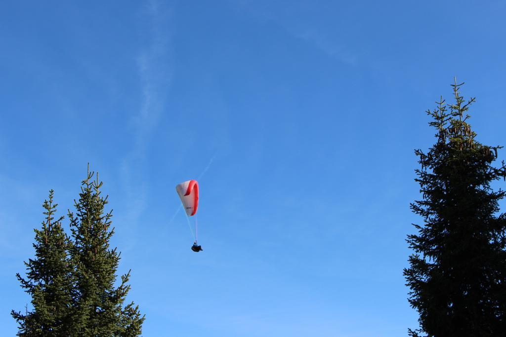 Gasthof Edelweiss